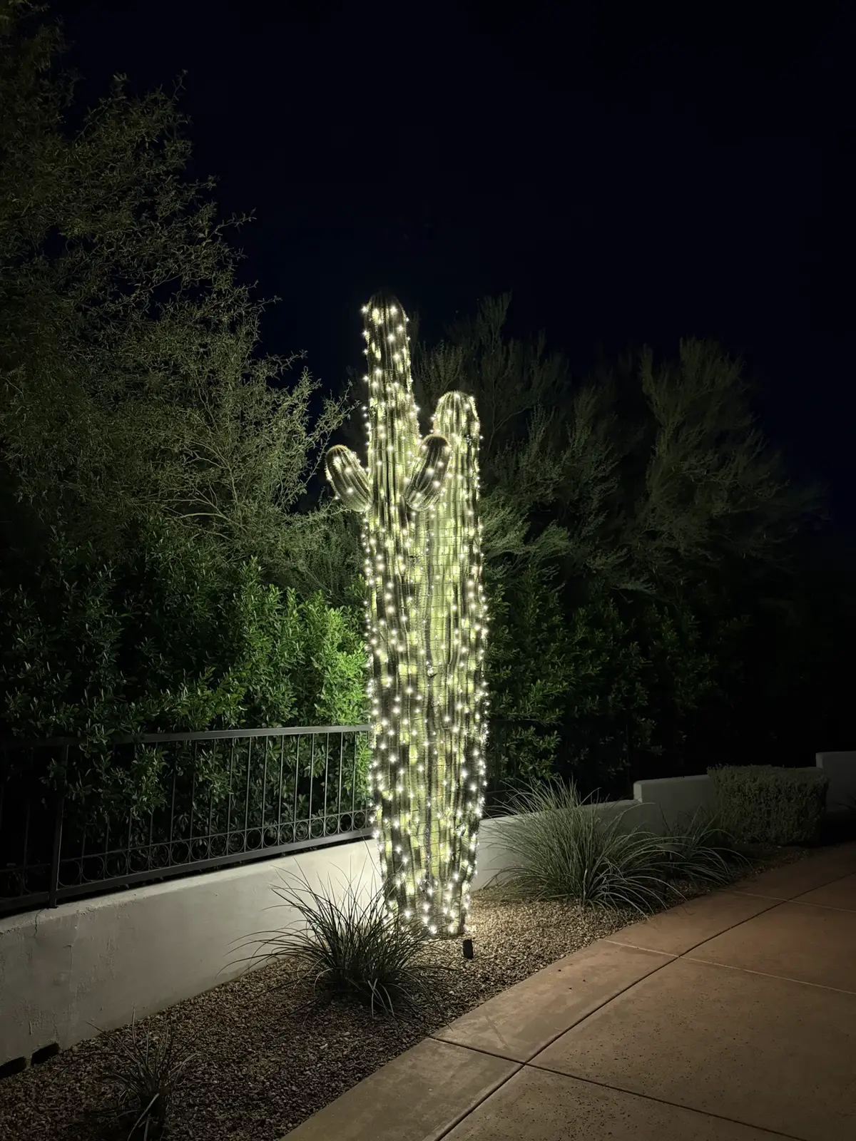 Saguaro cactus wrapped top to bottom in warm white lights